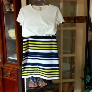 Ann Taylor Striped Skirt